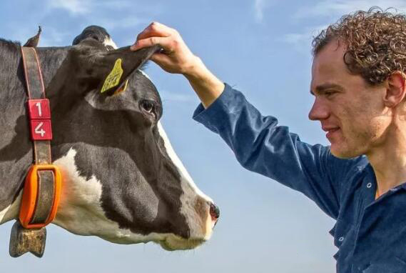 畜業(yè)智能穿戴.jpg 畜業(yè)智能穿戴.jpg